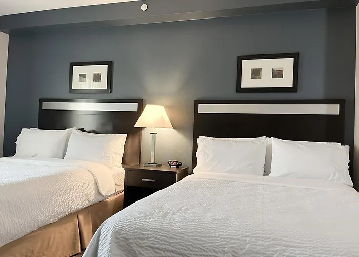 Holiday Inn Express & Suites Morton Peoria Area By Ihg